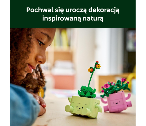 LEGO BOTANICALS 11506 Bujające się roślinki - 1517894 - zdjęcie 8